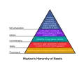 Pirámide de Maslow: una guía para el marketing, desde necesidades fisiológicas hasta la autorrealización.