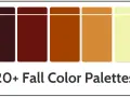 Cinco rectángulos con degradados de colores otoñales: marrón oscuro, burdeos, naranja quemado, ocre y amarillo pálido.