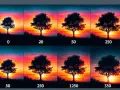 Ocho imágenes de un árbol solitario al atardecer, cada una con un número diferente debajo, mostrando cómo cambia la **resolución** de la imagen.