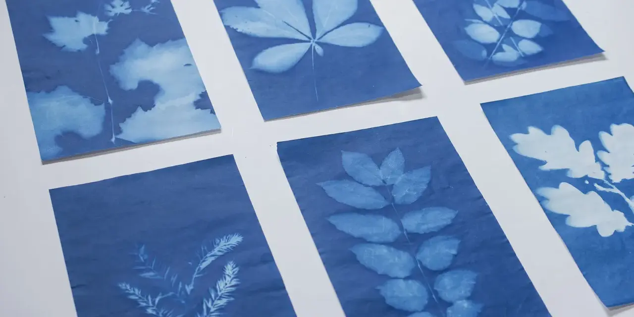 Seis cianotipias caseras muestran la belleza de hojas y ramas en tonos azules y blancos, creando un jardín botánico de sombras.
