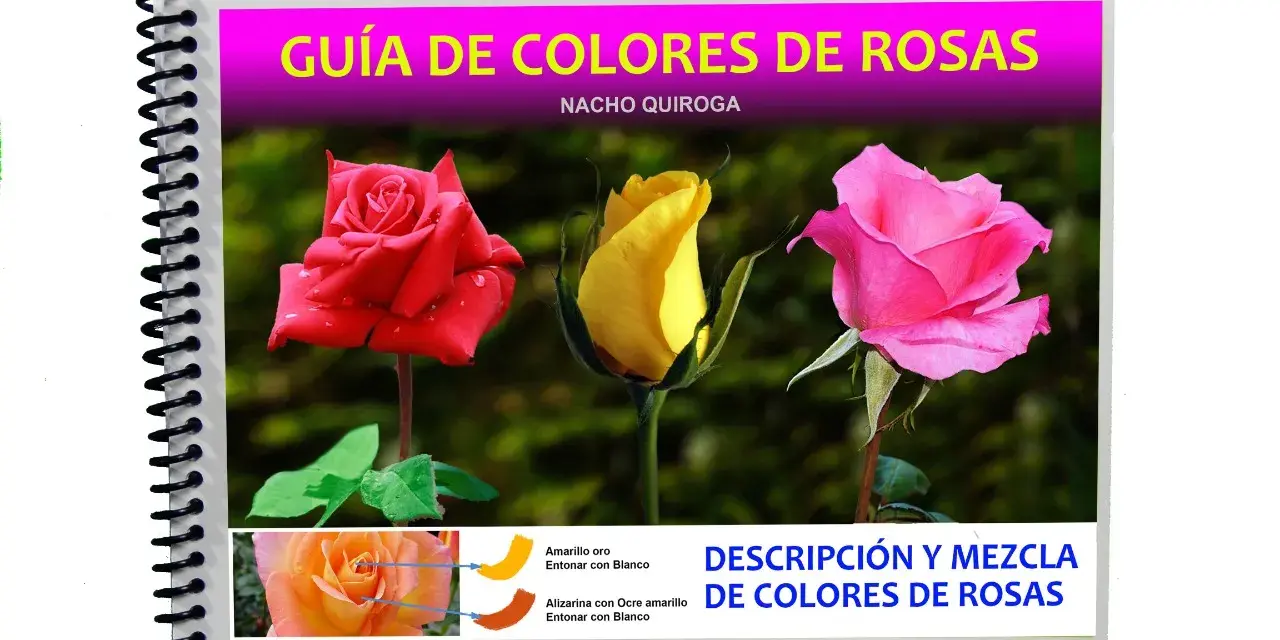 Guía de colores de rosas con una rosa roja, una amarilla y el rosa mas rosa del mundo. Muestra la descripción y mezcla de colores.