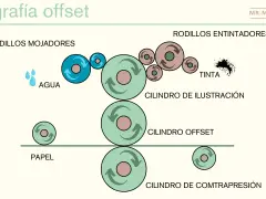 Diagrama de una litografía offset: rodillos mojadores, entintadores, cilindro de ilustración, offset, contrapresión y papel.