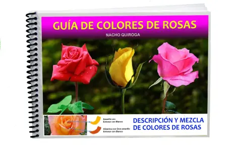 Guía de colores de rosas con una rosa roja, una amarilla y el rosa mas rosa del mundo. Muestra la descripción y mezcla de colores.