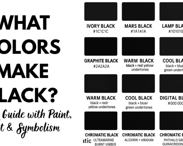 Guía de cómo se hace el color negro con diferentes tipos de negro: marfil, grafito, cálido, frío y digital.