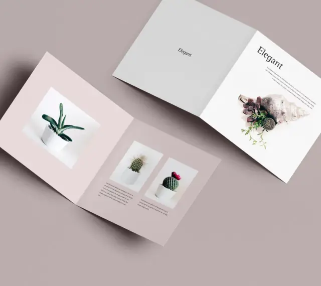 Un diptico elegante con imágenes de suculentas y cactus en macetas blancas, y una concha marina decorada con plantas.