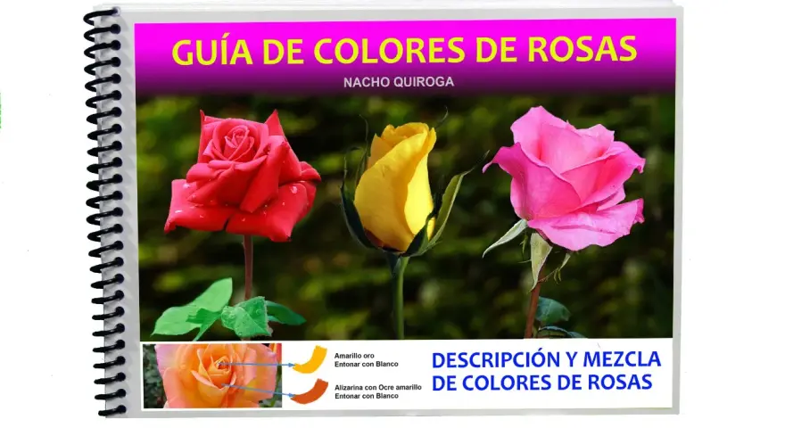 Guía de colores de rosas con una rosa roja, una amarilla y el rosa mas rosa del mundo. Muestra la descripción y mezcla de colores.