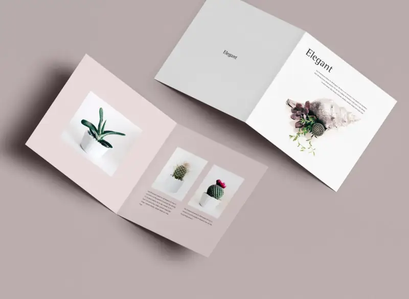 Un diptico elegante con imágenes de suculentas y cactus en macetas blancas, y una concha marina decorada con plantas.